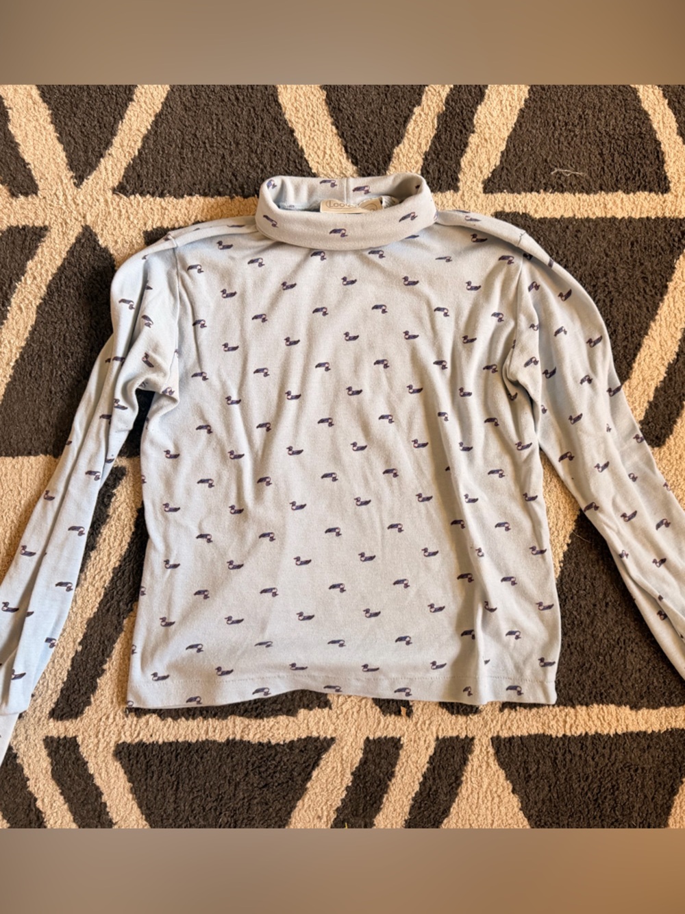 Light Blue Turtleneck Sweater with Duck Print